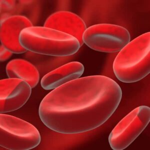 Bloodborne Pathogens Training